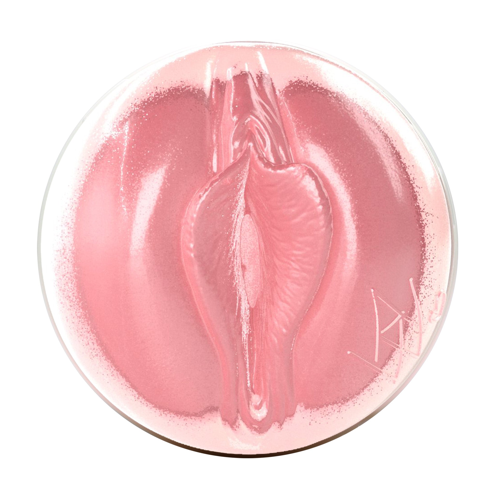 Angela White Birthday Cake Edition Fleshlight