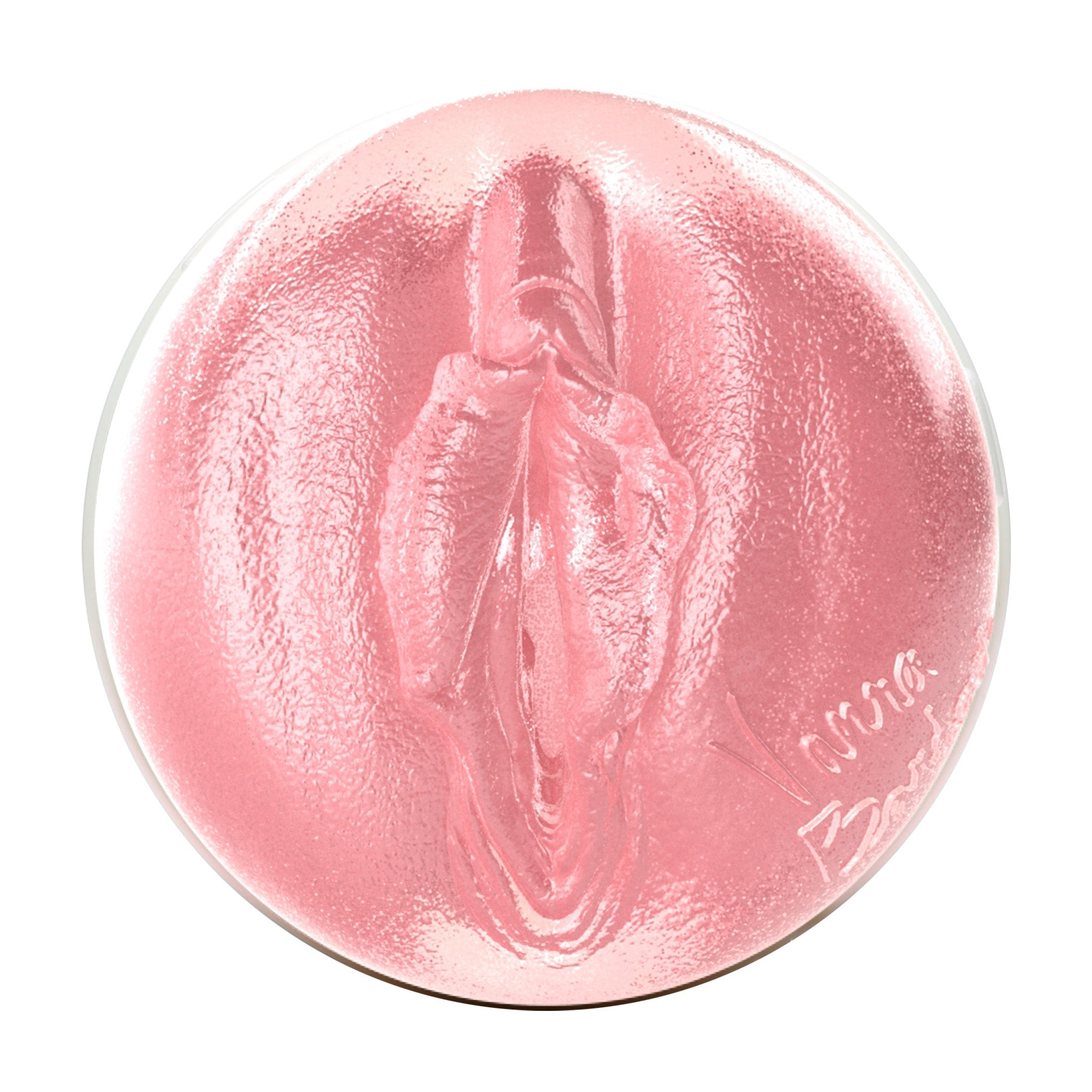 Vanna Bardot Birthday Cake Edition Fleshlight