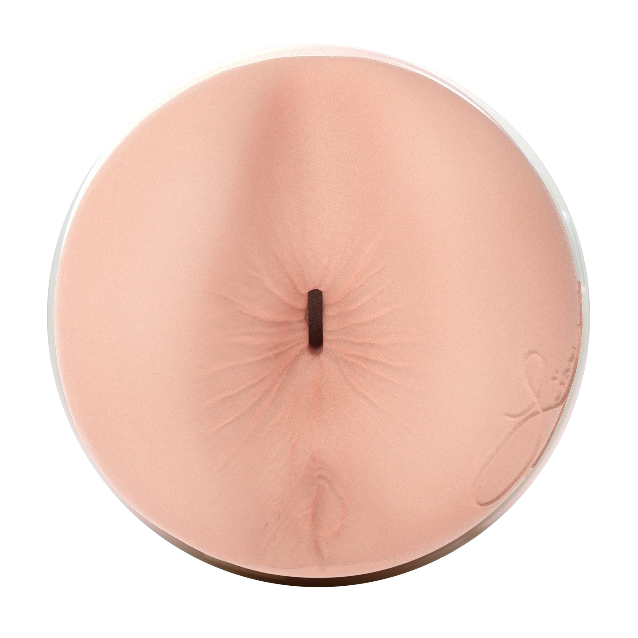 Lisa Ann Fleshlight