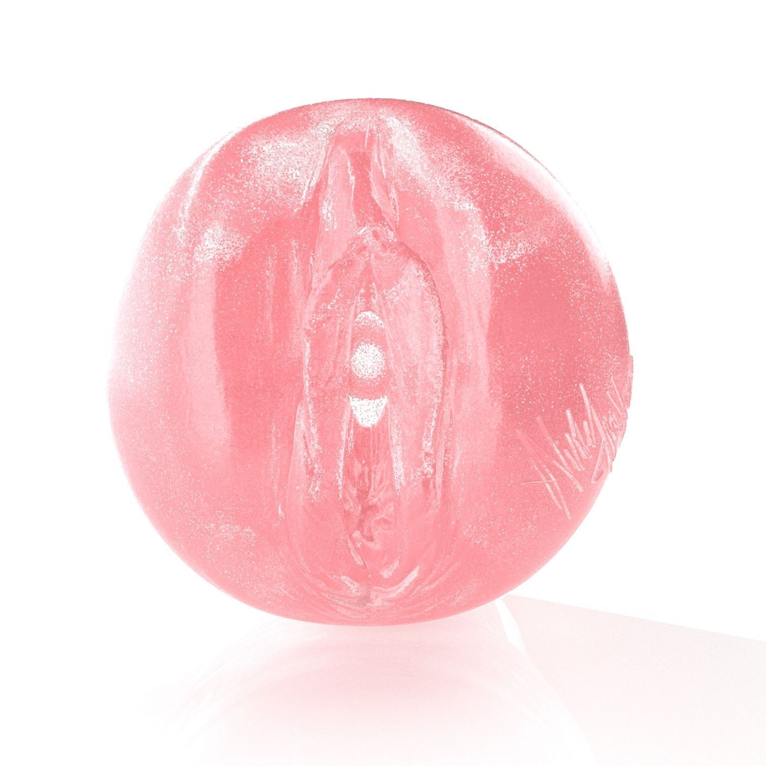 Nicole Aniston Birthday Cake Edition Fleshlight